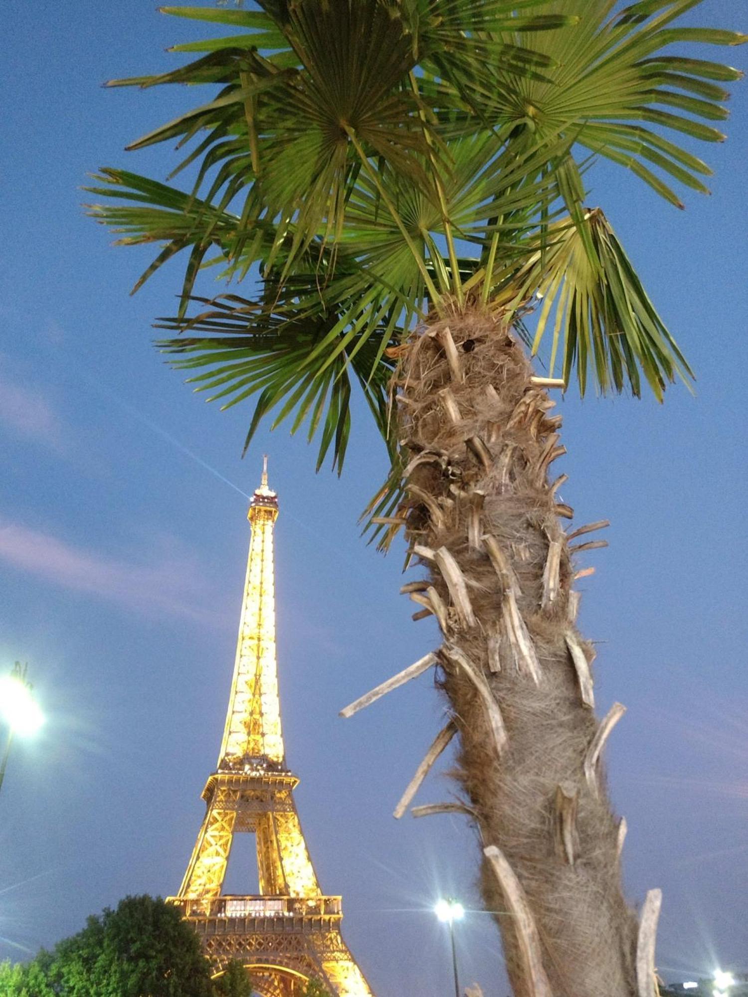 In Eiffel Tower & Champs Elysees Casa vacanze